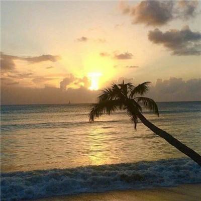 麻将胡了appapp下载