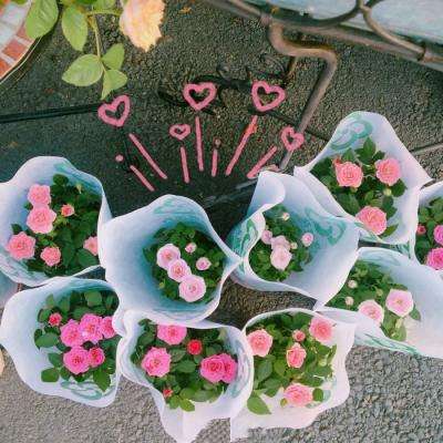 5848vip威尼斯电子游戏app下载