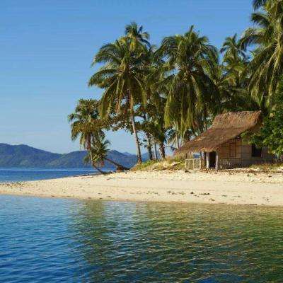 皇冠新体育下载手机版